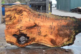 030119-14 Big Leaf Maple Slab