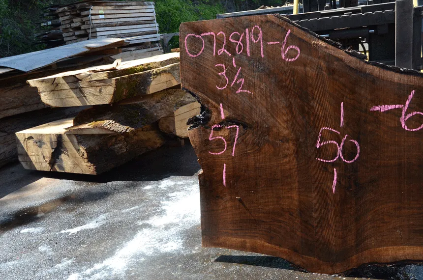 072819-06 Oregon Black Walnut