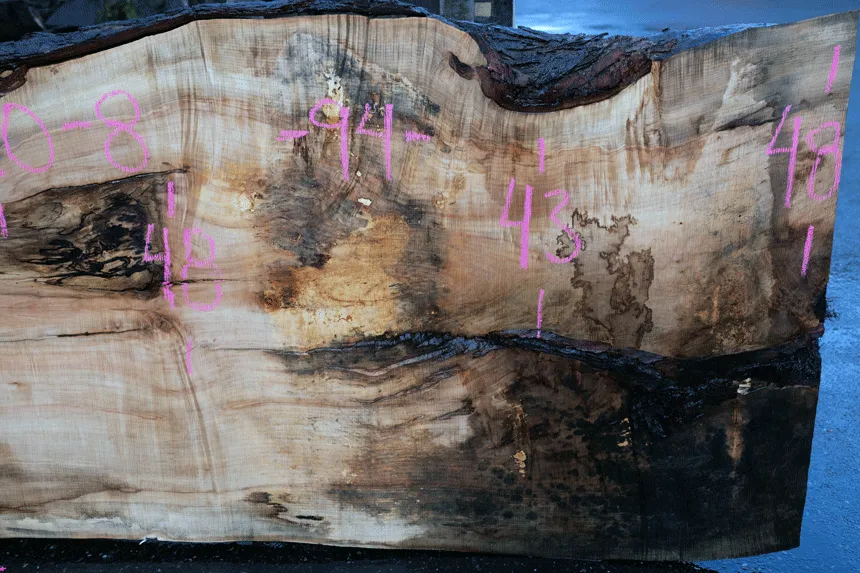 Big Leaf Maple Slab 122320-08