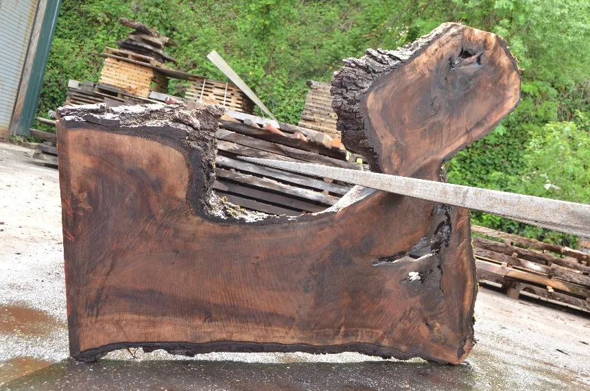 Oregon Black Walnut Slab 051322-06