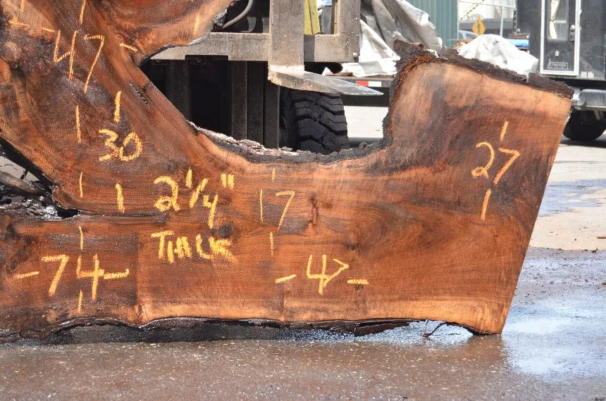 Oregon Black Walnut Slab 051322-06