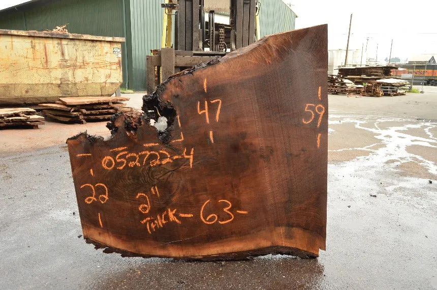 Oregon Black Walnut Slab 052722-04