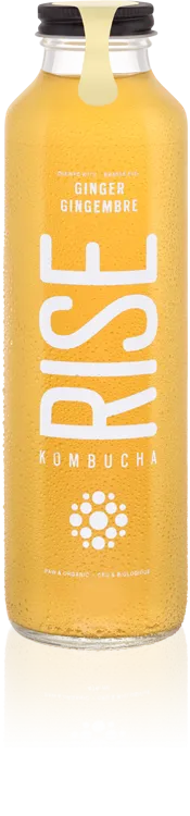 Rise Kombucha - Ginger (1L)